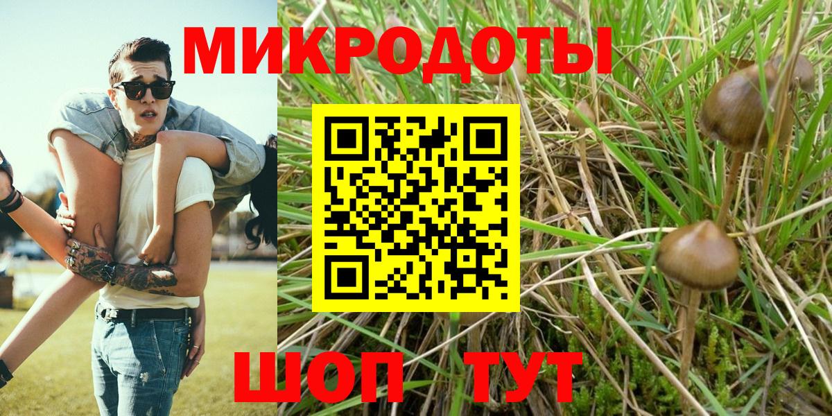 Краснодар  Псилоцибиновые грибы Cubensis  Вход с VPN 
